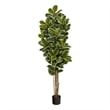 Nearly Natural 6ft Oak Artificial Tree UV Resistant (Indoor/Outdoor) in Green