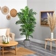 Nearly Natural 6ft Curvy Parlor Palm Tree in Black & White Natural Jute & Cotton