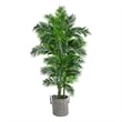 Nearly Natural 6ft Curvy Parlor Palm Tree in Black & White Natural Jute & Cotton