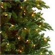 Nearly Natural 9ft South Carolina Fir Christmas Tree w/ 750 Clear LED Lights