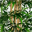 Nearly Natural 11ft Artificial Bamboo Tree with Real Bamboo Trunks in Green