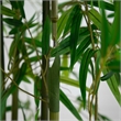 Nearly Natural 10ft Artificial Green Bamboo Tree in Green
