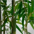 Nearly Natural 11ft Artificial Green Bamboo Tree in Green