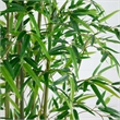 Nearly Natural 11ft Artificial Green Bamboo Tree in Green