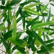 Nearly Natural 12ft Artificial Green Bamboo Tree in Green