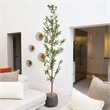 Nearly Natural 8ft Artificial Olive Tree with Natural Trunk in Green