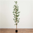 Nearly Natural 8ft Artificial Olive Tree with Natural Trunk in Green