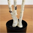 Nearly Natural 7ft Artificial Birch Tree with Real Touch Leaves in Green
