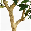 Nearly Natural 4ft Artificial Olive Tree in Green