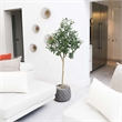 Nearly Natural 4ft Artificial Olive Tree in Green