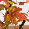 Nearly Natural 4ft Autumn Maple Artificial Fall Tree in Orange