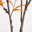 Nearly Natural 6ft Autumn Oak Artificial Fall Tree in Orange