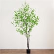 Nearly Natural 10ft Artificial Minimalist Enkianthus Tree in Green