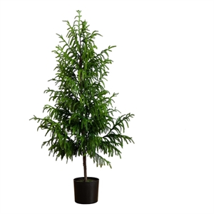 Nearly Natural 5ft Artificial Norfolk Pine Tree in Green