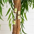 Nearly Natural 6ft Willow Artificial Tree (Real Touch) in Green