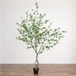Nearly Natural 10ft Minimalist Citrus Artificial Tree in Green