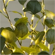 Nearly Natural 4ft Lighted Artificial Eucalyptus Tree w/ 240 Warm White LED