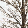 Nearly Natural 6ft Pre-Lit Artificial Twig Tree with 480 Warm White LED Lights