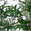 Nearly Natural 8ft Artificial Grand Olive Tree in White Decorative Planter