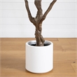 Nearly Natural 8ft Artificial Grand Olive Tree in White Decorative Planter
