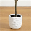 Nearly Natural 4ft Autumn Birch Artificial Fall Tree Decorative Planter