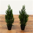 Nearly Natural 2ft Artificial Cedar Pine Tree UV Resistant (Set of 2)