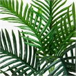 Nearly Natural 3ft UV Resistant Artificial Double Robellini Palm Tree