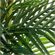 Nearly Natural 11ft UV Resistant Artificial Areca Palm Tree (Indoor/Outdoor)