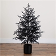 Nearly Natural 4ft Halloween Real Touch Black Norfolk Pine Christmas Tree
