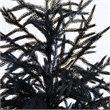 Nearly Natural 5ft Halloween Real Touch Black Norfolk Pine Christmas Tree