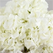 Nearly Natural Wedding Collection 14