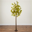 Nearly Natural 5ft Pre-Lit Green Autumn Oak Fall Tree w/ 200 Warm White LED