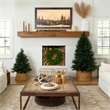 Nearly Natural 4ft Artificial Green Pampas Grass Green Christmas Tree