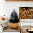 Nearly Natural 4ft Artificial Halloween Black Pampas Grass Christmas Tree