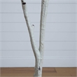 Nearly Natural 7ft Autumn Paper Birch Artificial Fall Tree in Orange
