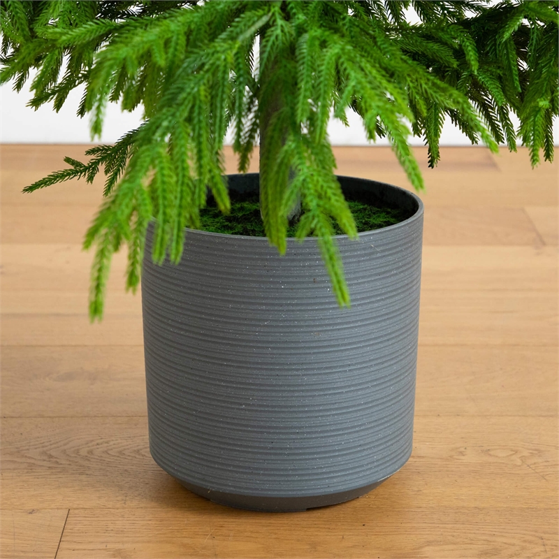 Nearly Natural 7ft Artificial Real Touch Norfolk Island Pine Christmas Tree