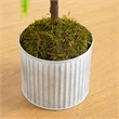 Nearly Natural 3ft Real Touch Norfolk Island Pine in Metal Tin Planter