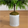 Nearly Natural 5ft Real Touch Norfolk Island Pine in Metal Tin Planter