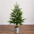 Nearly Natural 5ft Real Touch Norfolk Island Pine in Metal Tin Planter