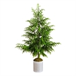 Nearly Natural 5ft Real Touch Norfolk Island Pine in Metal Tin Planter