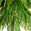 Nearly Natural 3ft Artificial Real Touch Down Swept Norfolk Pine Tree