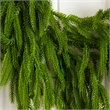 Nearly Natural 6ft Pre-Lit Real Touch Norfolk Island Pine Garland w/ 35 LED