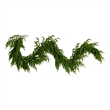 Nearly Natural 6ft Pre-Lit Real Touch Norfolk Island Pine Garland w/ 35 LED