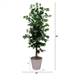 Nearly Natural 5.5ft Artificial Ficus Double Stalk Tree in Hexagon Metal Planter