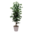 Nearly Natural 5.5ft Artificial Ficus Double Stalk Tree in Hexagon Metal Planter