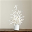 Nearly Natural 2ft Real Touch White Norfolk Island Pine Christmas Tree in White