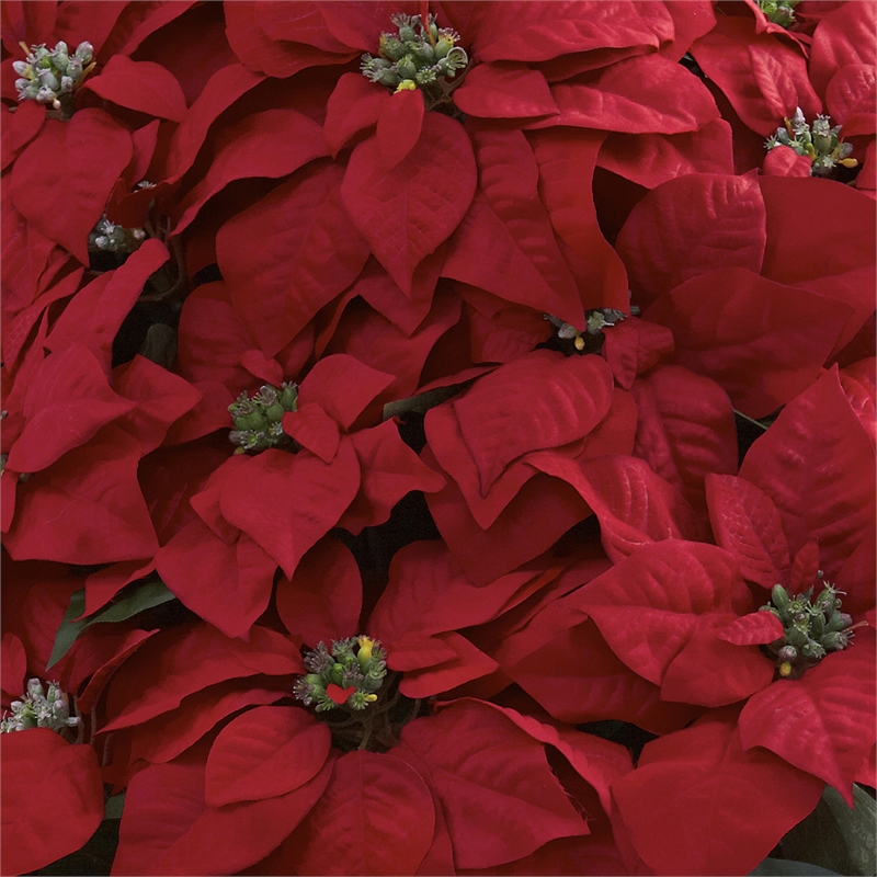 Nearly Natural Giant Poinsettia Arrangement with Decorative Planter in Green