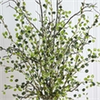Nearly Natural Night Willow Arrangement in Glass Vase in White