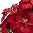 Nearly Natural Poinsettia with Decorative Planter Silk Arrangement in Red