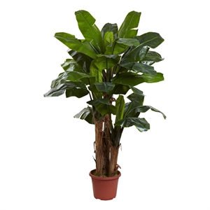 Nearly Natural 7ft Giant Triple Stalk Banana Tree UV Resistant (Indoor/Outdoor)